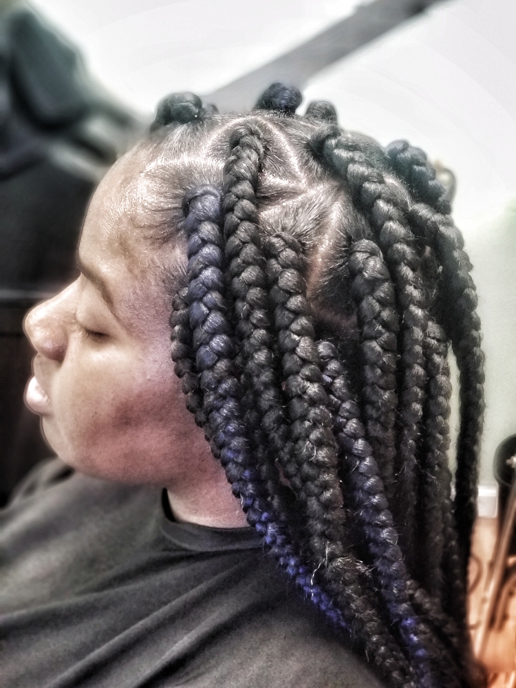 Box Braids(large)
