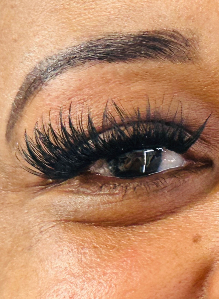 Empressive Lash Clusters