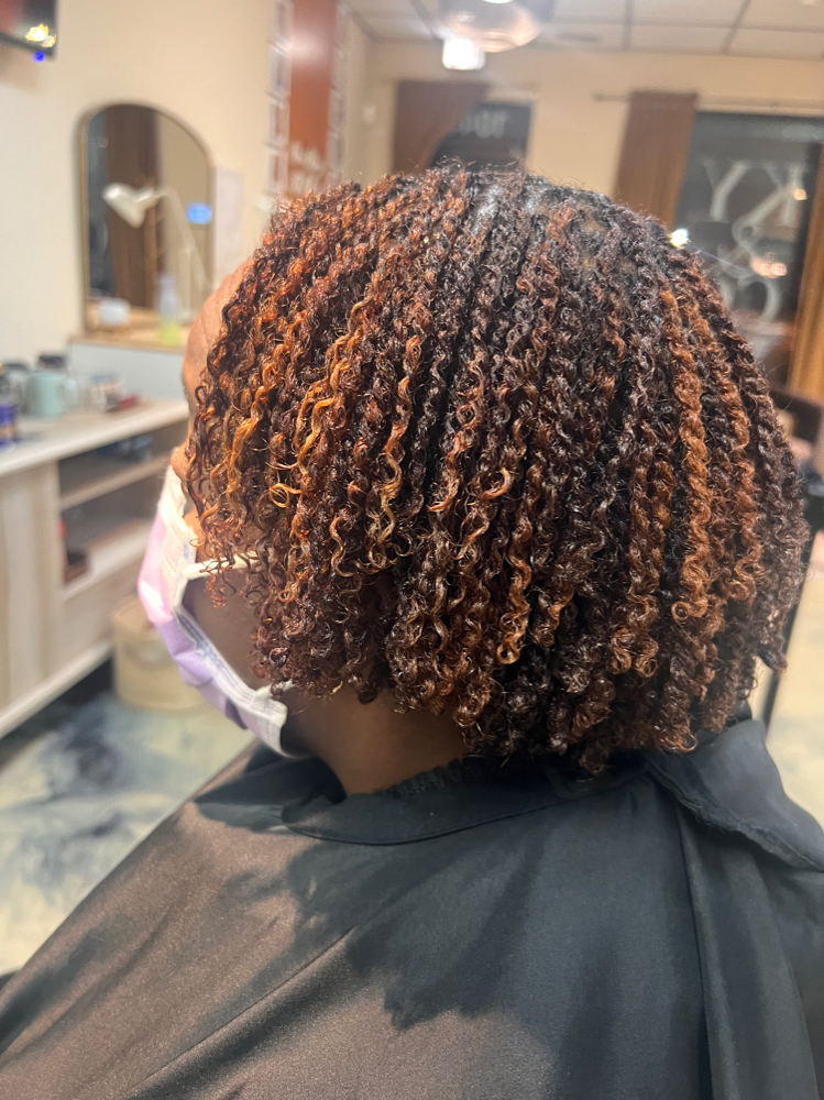 Microloc Establishment Session at Texture + Blow Hair Studio in Oak Lawn, IL