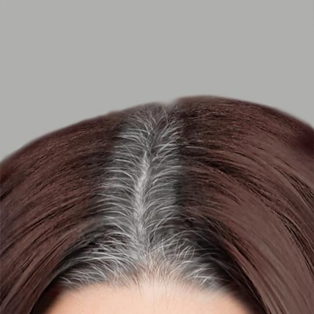 Color Touch Up at Ashleigh Nyquist in Allen Park, MI