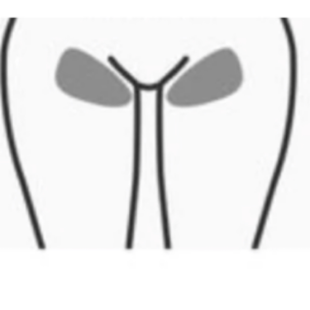 Standard Bikini Wax at Precision Wax by Michelle in Needham, MA