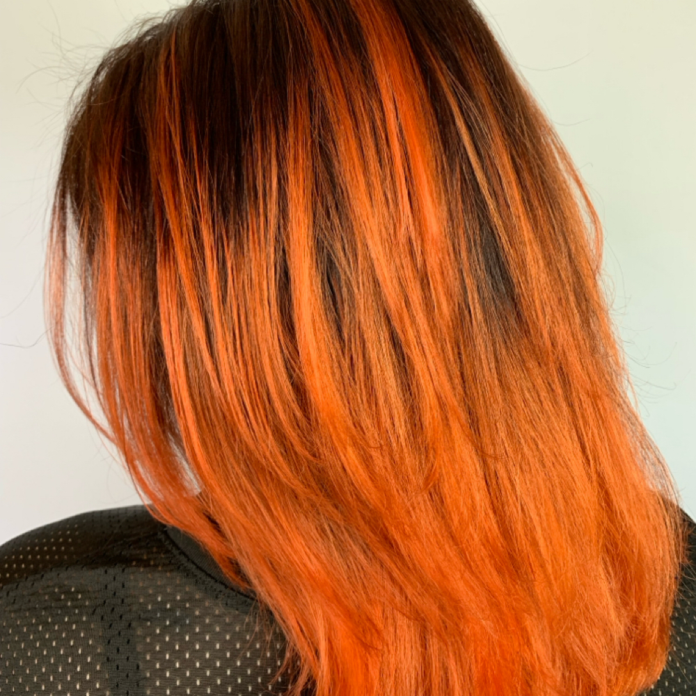 Color at Resilience Salon in Novi, MI