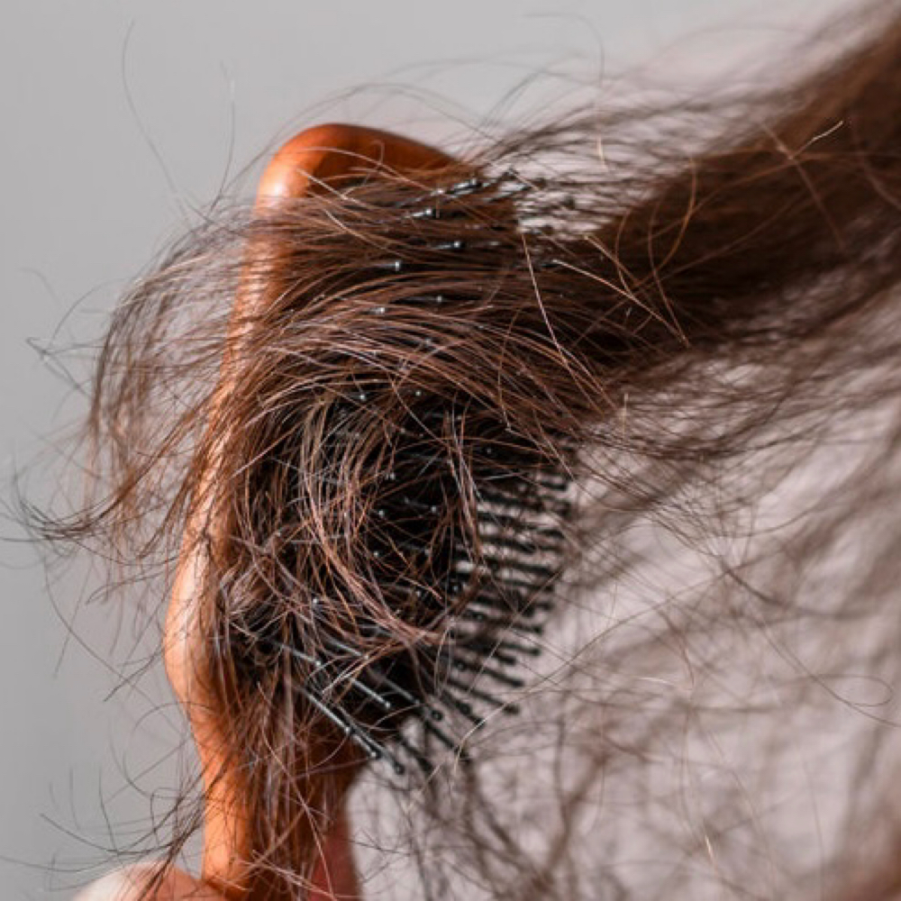 Severe Tangle/Matting Removal at Salon Saffire in Crystal lake, IL