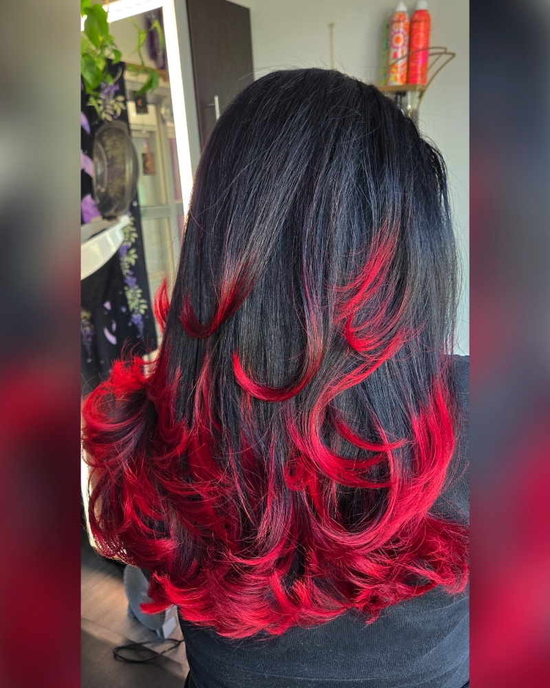 Bold & Creative Color