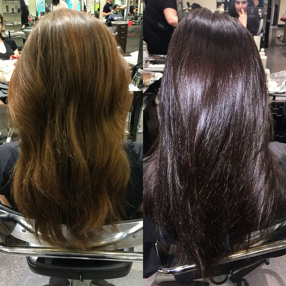 All Over Color/ Cut at House of Ember Salon- Savana Nicholls in Paxton, IL