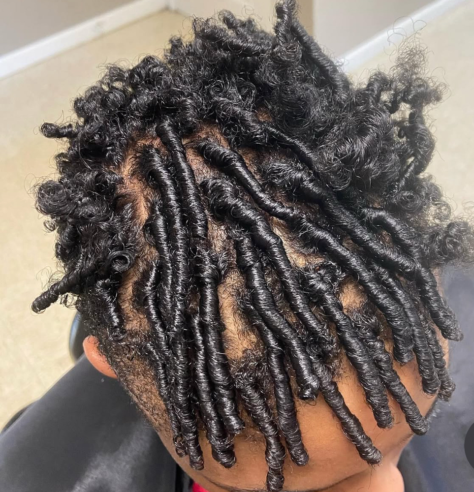 NATURAL TWISTOUT at JOY DENICE  HAIRCARE LLC in Troy, MI