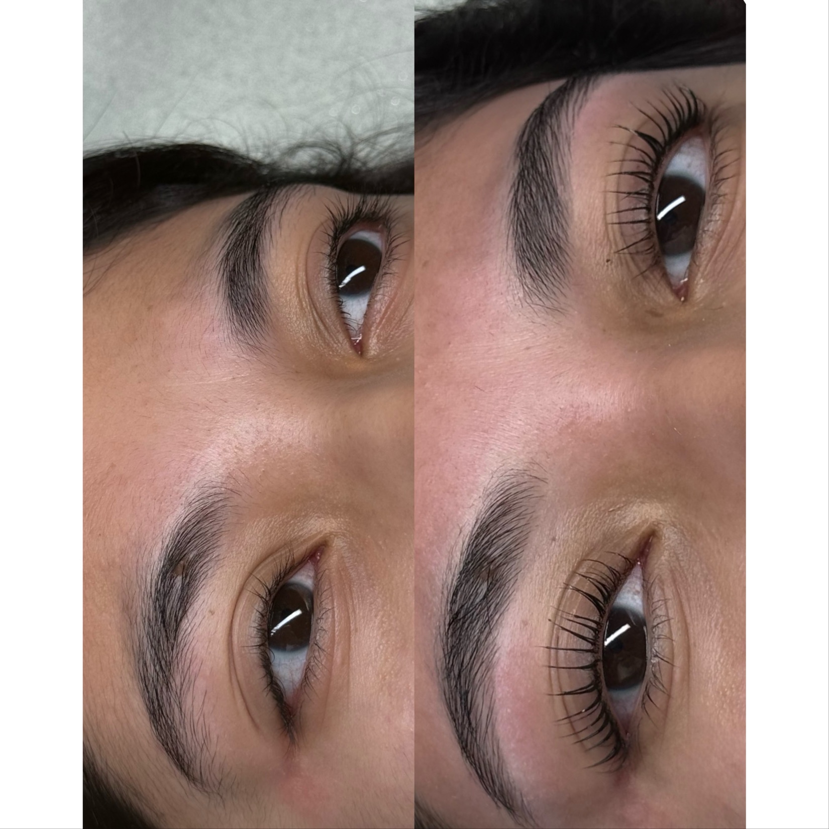 Lash Lift + Tint at Starlight Wax Studio in San Antonio, TX