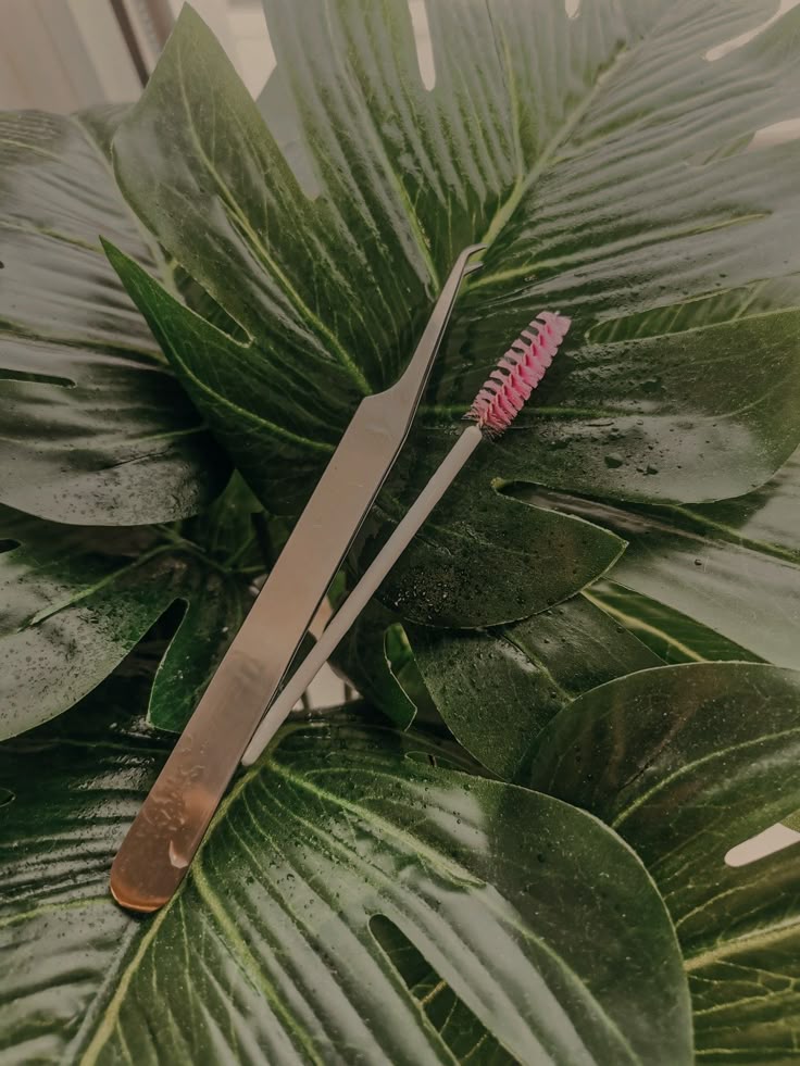 Lash Full Set at Bloom Beauty Bar in Camas, WA