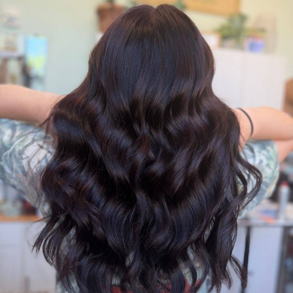 ADDITIONAL COLOR at Wild Bloom Hair Studio in Wyomissing, PA