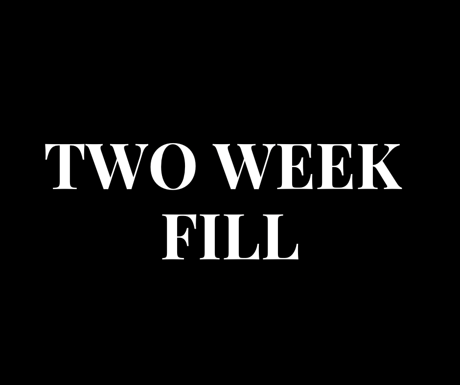Two Week Lash Fill