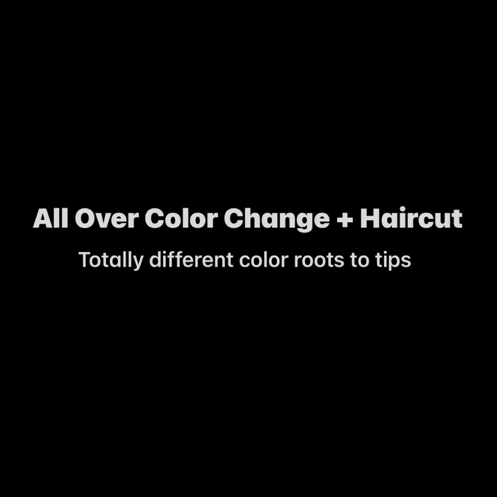 All Over Color Change & Haircut at Jen (@ Stellar Luna Hair Studio) in San Mateo, CA