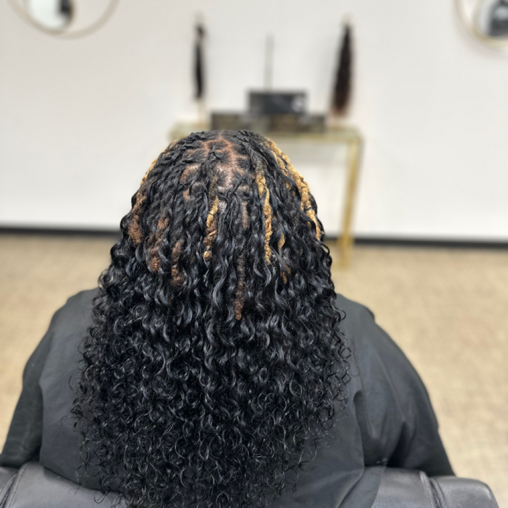 Burmese Crown Luxury Loc Package at Crowned by Marie LLC in Douglasville, GA