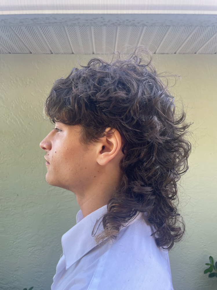 Haircut (Any length)
