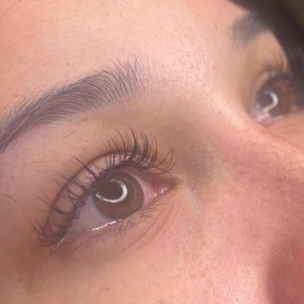 Classic Full Set- Lashes