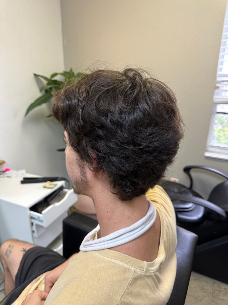 Mens Haircut
