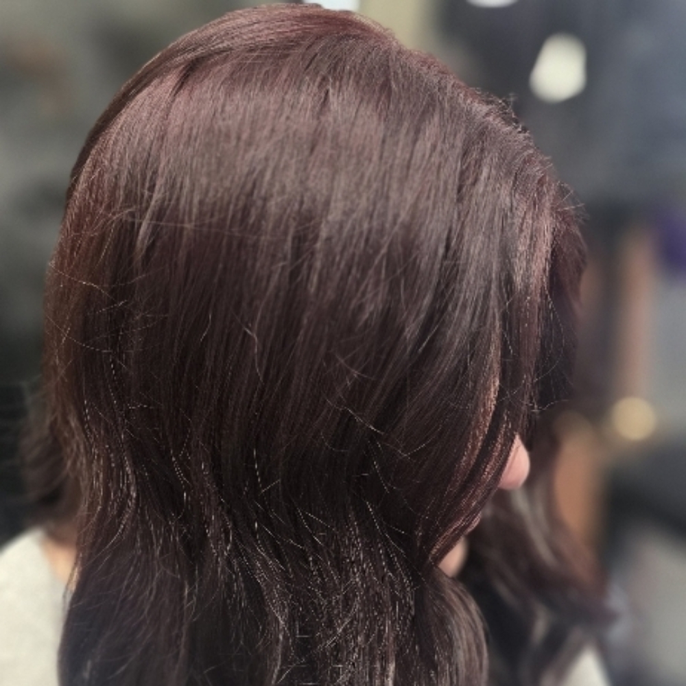 Allover Color at Capelli Salone' LLC in New Berlin, WI