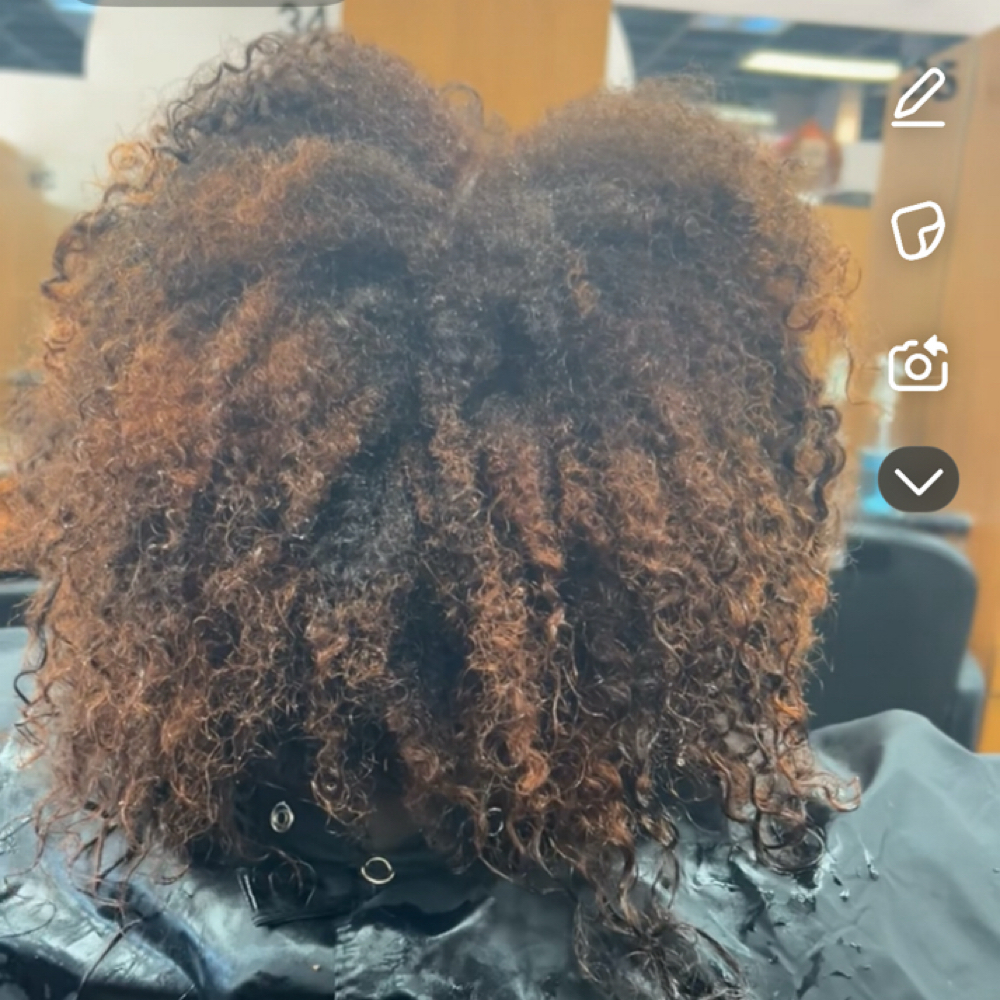 Color Services at Belles Beauty&Co in Ecorse, MI