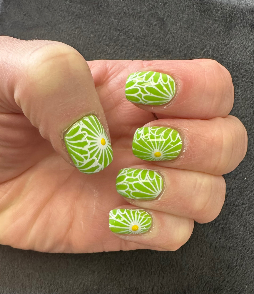 Apprentice Hard Gel Full Set