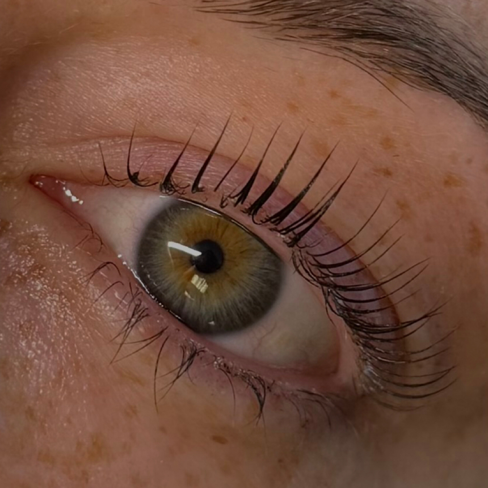 Korean Lash Lift at Alainn Lashes in Wilmington, MA