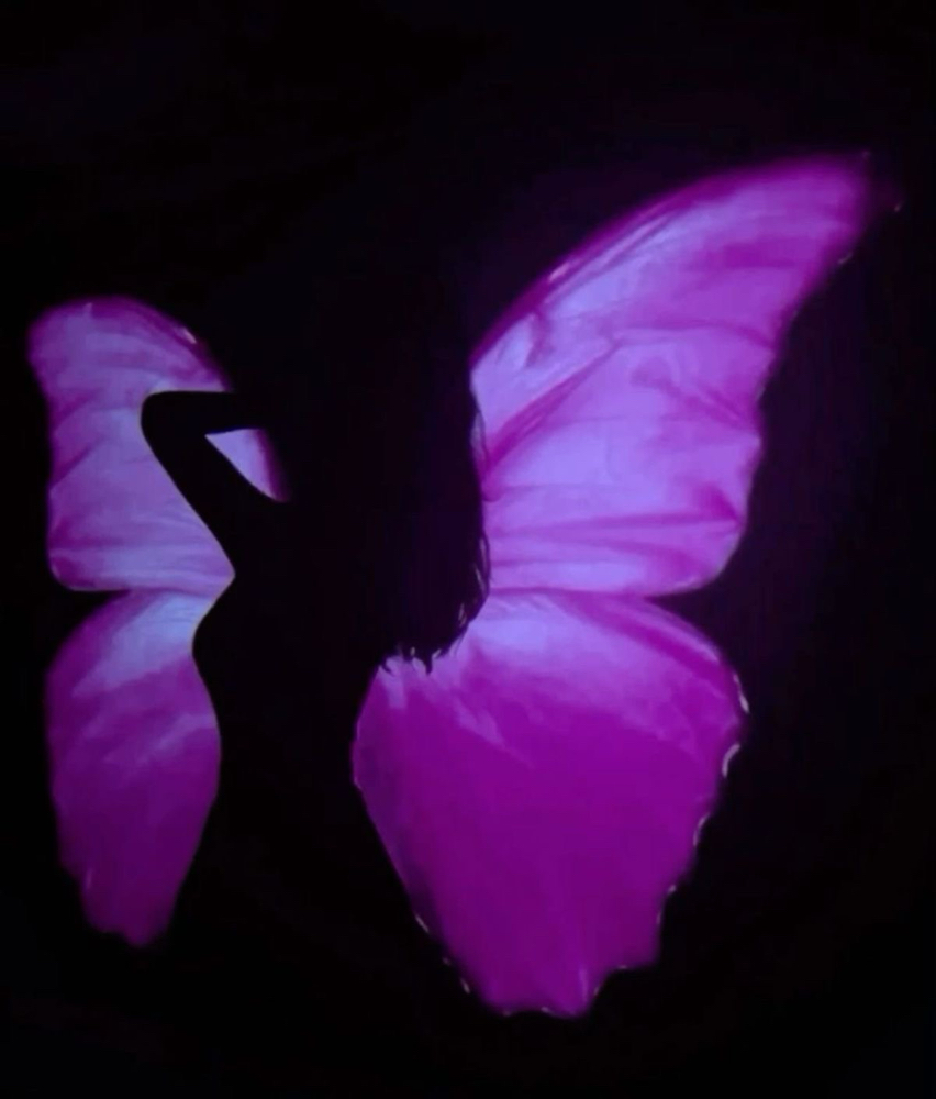 Illuminate Your Shadow Healing