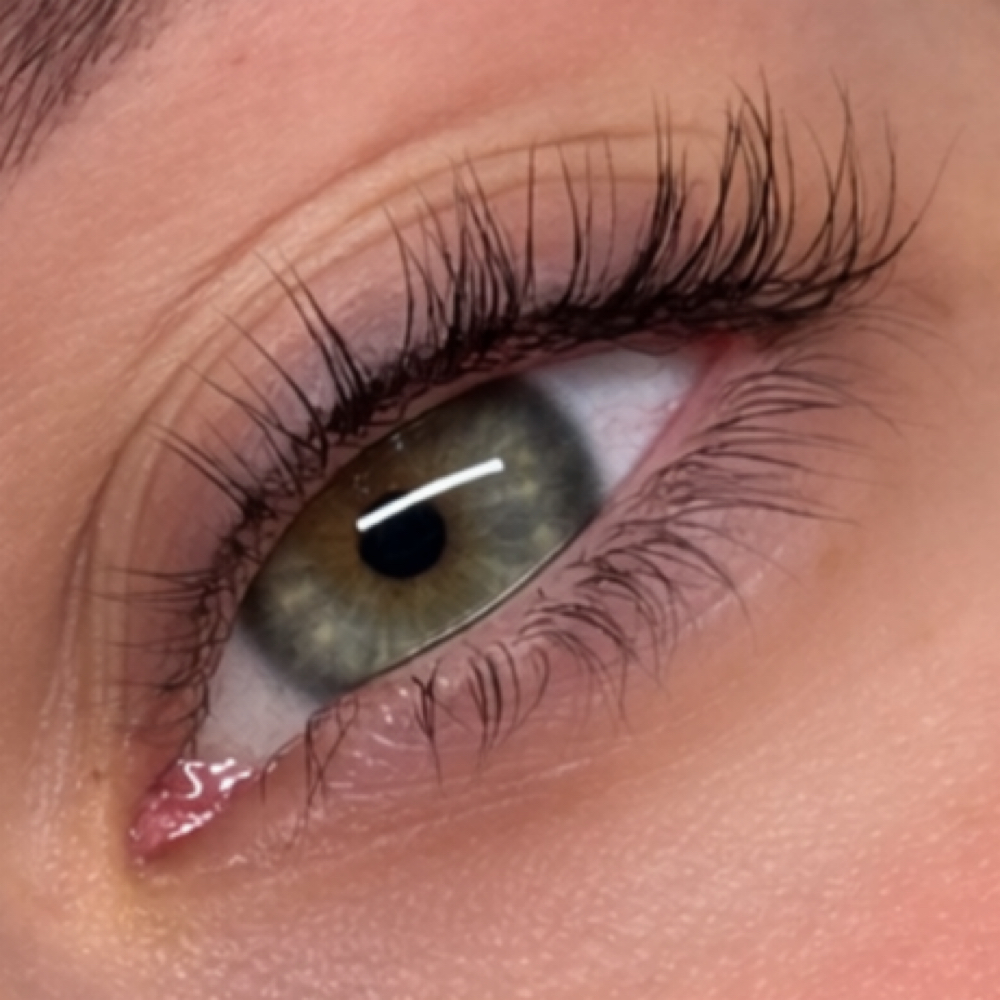 Korean lash lift / Traditional at LASHANDOUT in Kernersville, NC