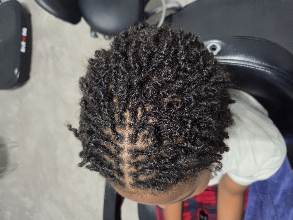 Mini Twists (Natural Hair)