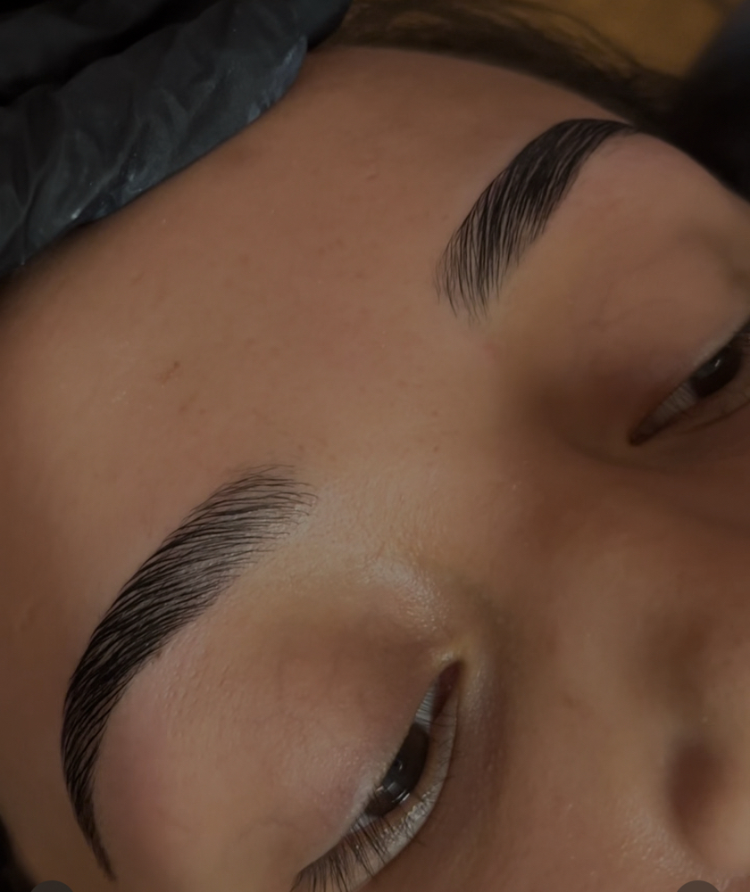 Brow Lamination Package at Lizz Brows in Thornton, CO