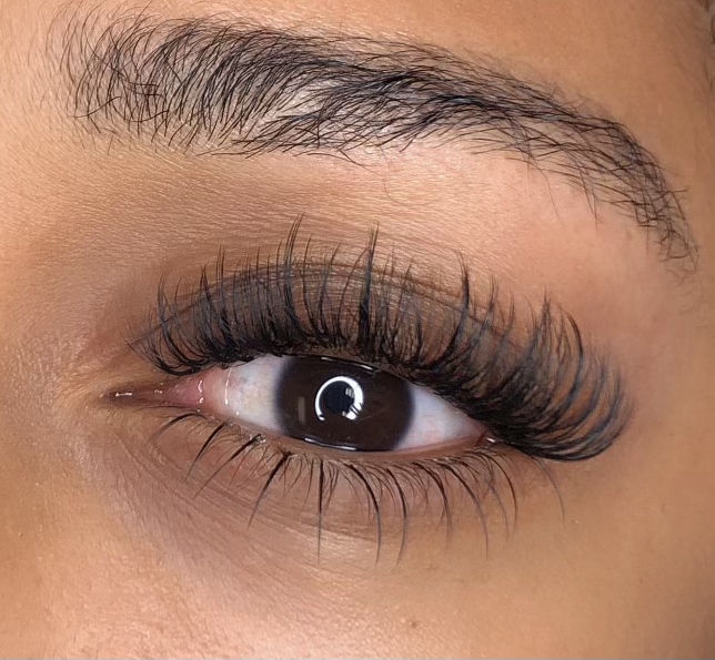 Bottom Lashes