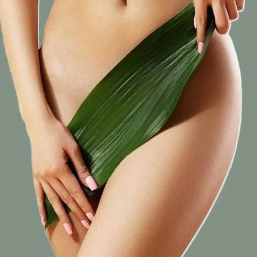 Brazilian wax at EURO WAX & SPA in Hayesville, NC