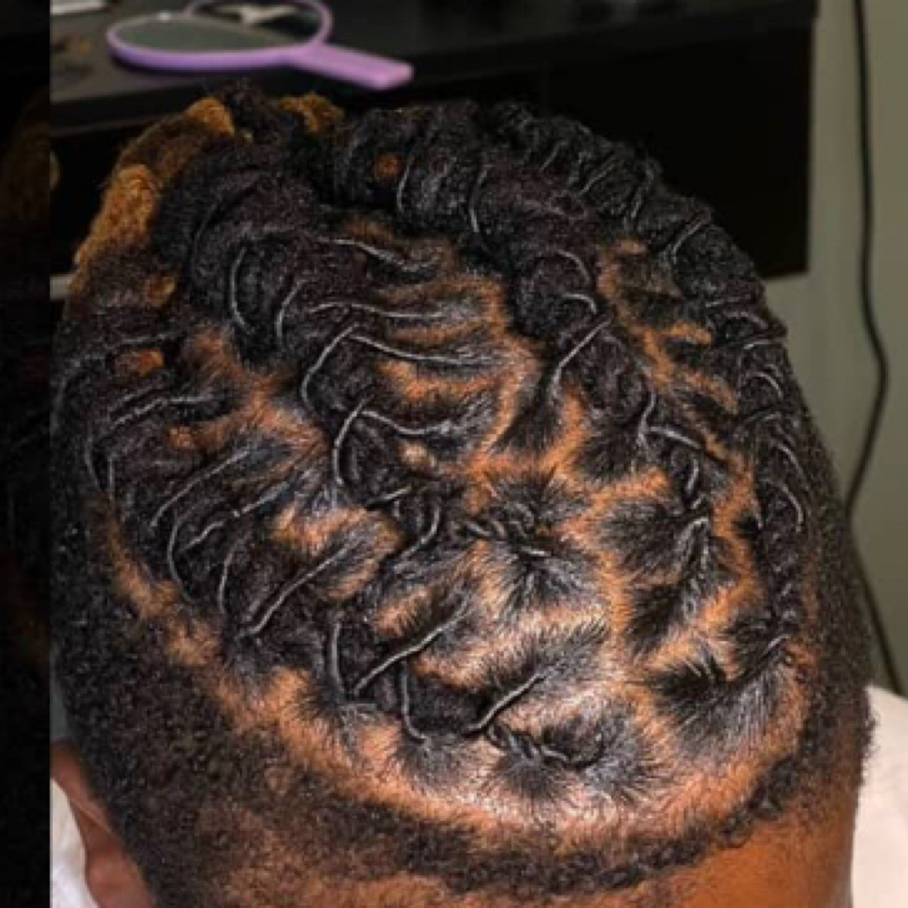 Locs at ZeeBeauties in Scottsdale, AZ