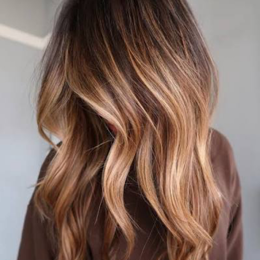 Balayage And Haircut at Beth Guerin Salon in Vadnais Heights, MN