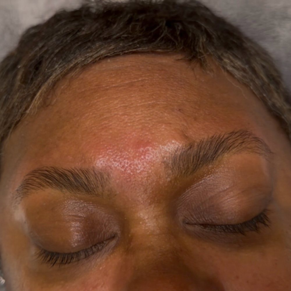 Brow Wax + Lamination at belle âme salon in Comer, GA