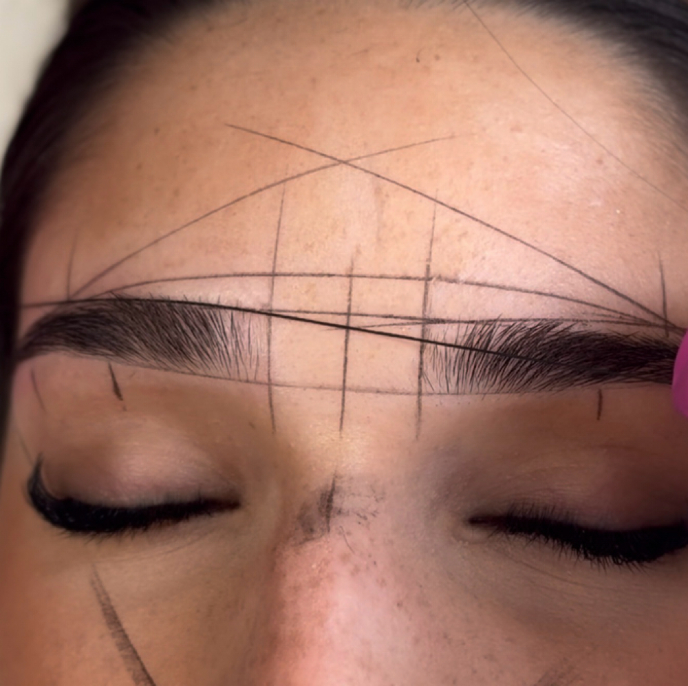 Brow Wax and Mapping at Posh Cosmetic Ink in Sarasota, FL