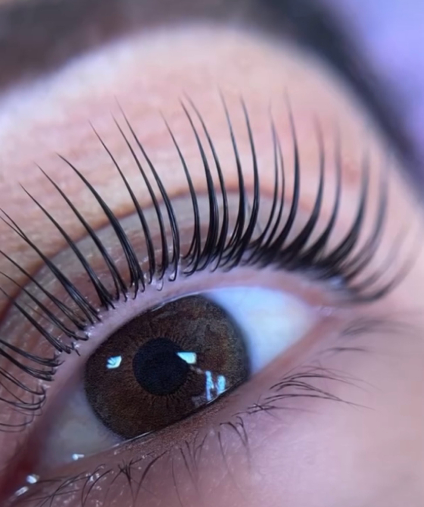 Lash Lift