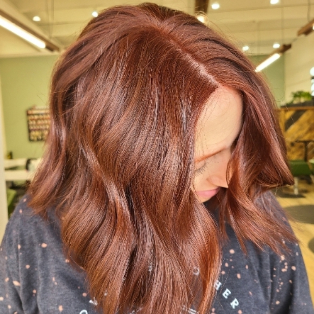 All Over Color at Nolan Taylor Salon in Oxford, MS