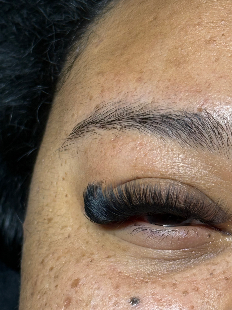 Mega Volume Lashes
