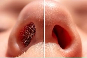 Waxing Nose Hair at Enchanted Nails by Danijella in Palm Bay   TEL: (321)795-1216, FL