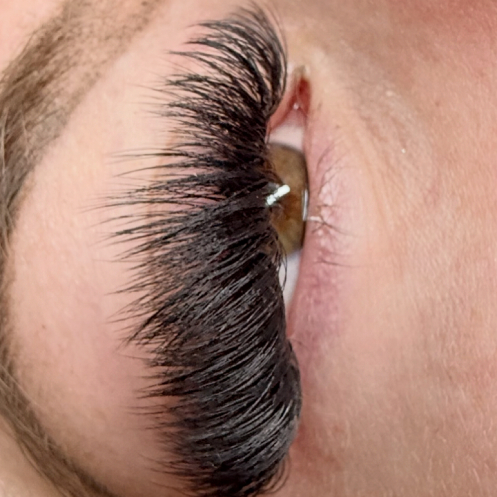 Mega 2 week Fill at Artistry Lash And Brow Bar in Oklahoma City, OK