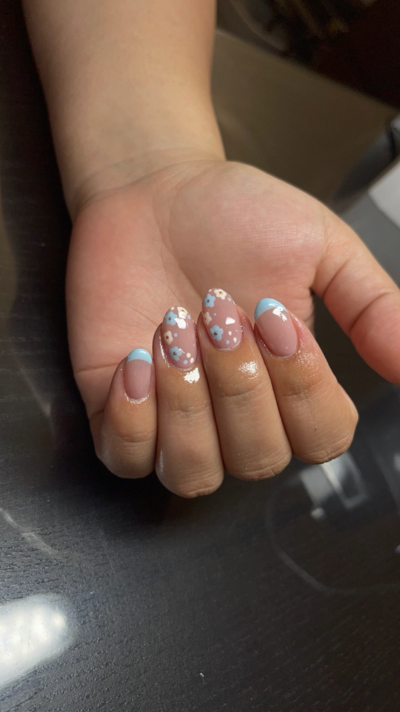 Builder Gel Set