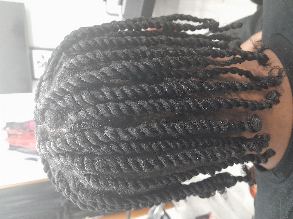 Two Strand Twist