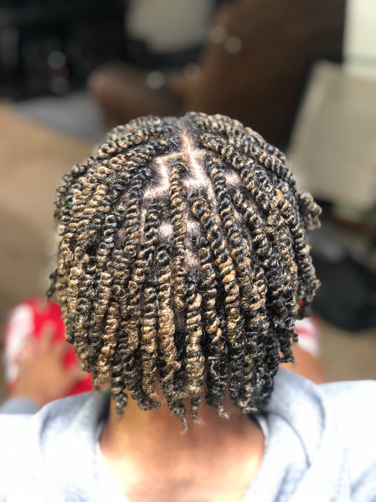 Two Strand Twist