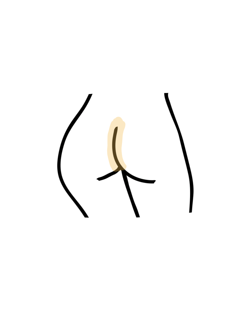 Butt Strip