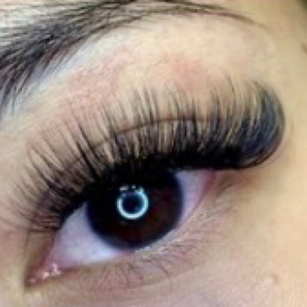 Intro Offer 6D Volume Refill at Wink Lash Studio in memphis, TN