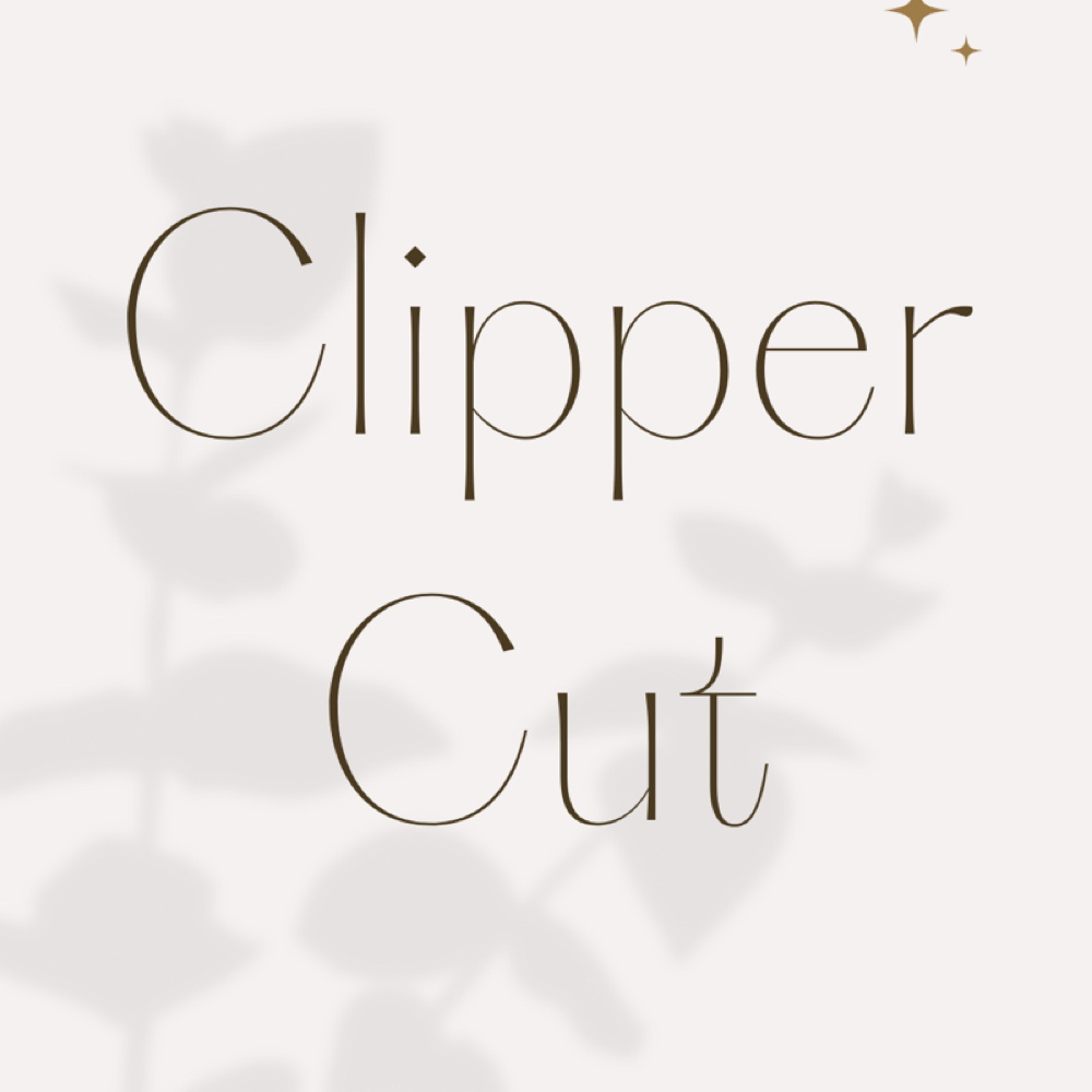 Clipper Cut at The Revival Studio in New Bedford, MA