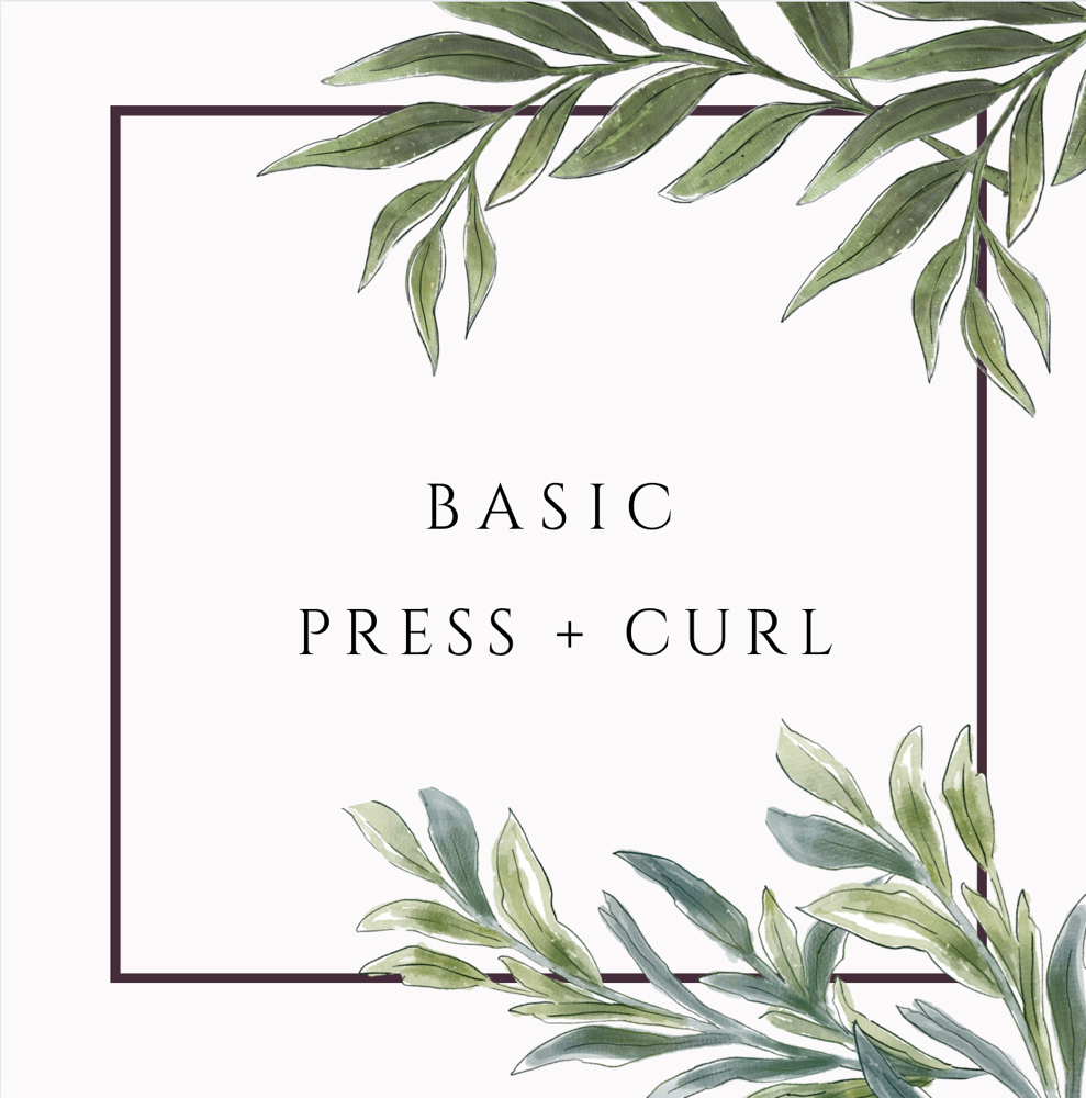 Press And Curl (Shampoo Included)