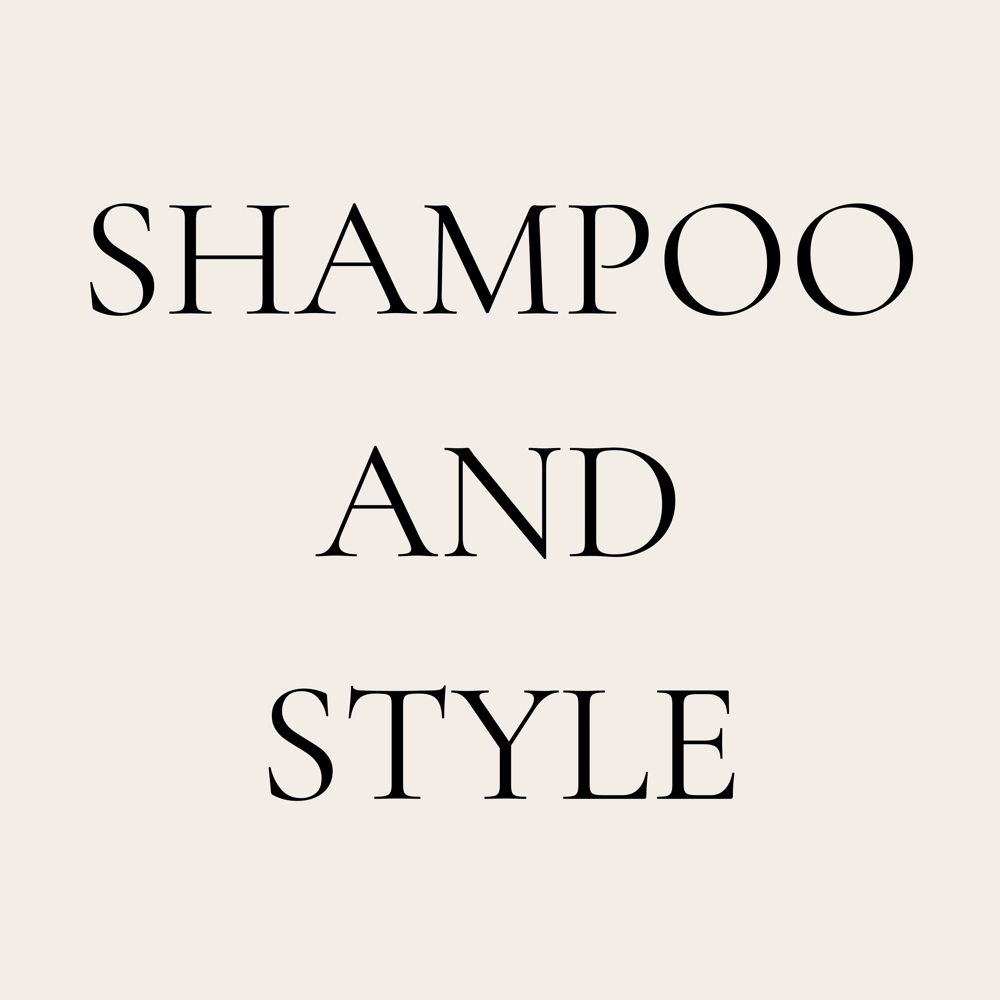SHAMPOO AND STYLE at Fox Hair Studios in Bossier City, LA