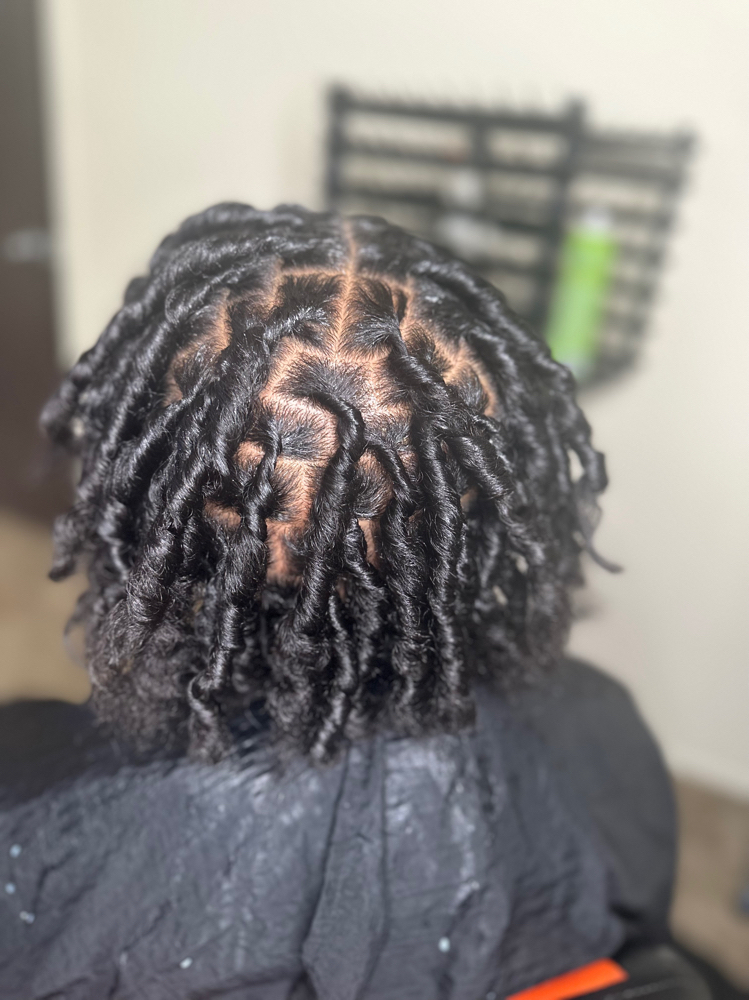 Starter Locs
