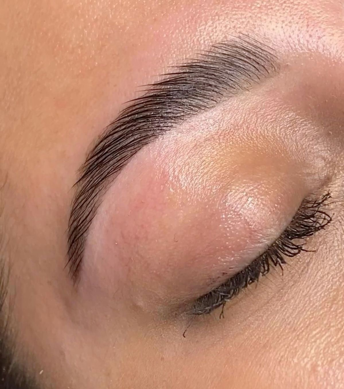 Brow Lamination at Esthetics by Molly in Mission Viejo, CA