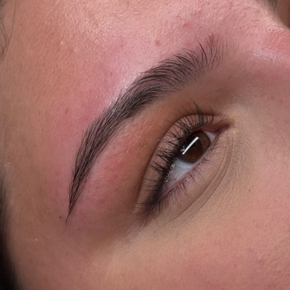 Brow Shaping at BROWHAUS INK & BEAUTY in Tampa, FL