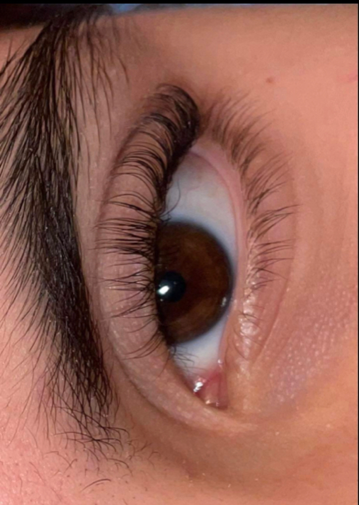Lash Lift
